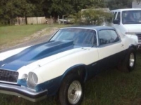 1975 Chevrolet Camaro for sale in Cadillac, Michigan (ID-48002)
