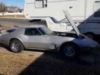 1975 Chevrolet Corvette for sale in Cadillac, Michigan (ID-48011)