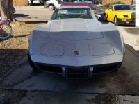 1975 Chevrolet Corvette for sale in Cadillac, Michigan (ID-48011)