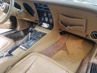 1975 Chevrolet Corvette for sale in Cadillac, Michigan (ID-48193)