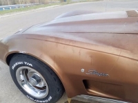 1975 Chevrolet Corvette for sale in Cadillac, Michigan (ID-48193)