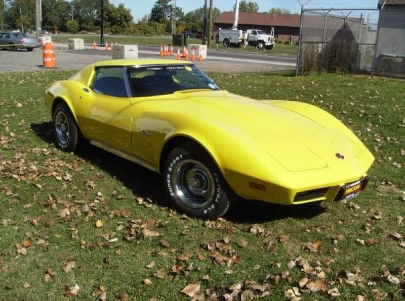 1975 Chevrolet Corvette for sale in Cadillac, Michigan (ID-48502)