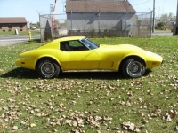 1975 Chevrolet Corvette for sale in Cadillac, Michigan (ID-48502)