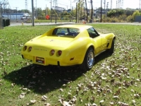 1975 Chevrolet Corvette for sale in Cadillac, Michigan (ID-48502)