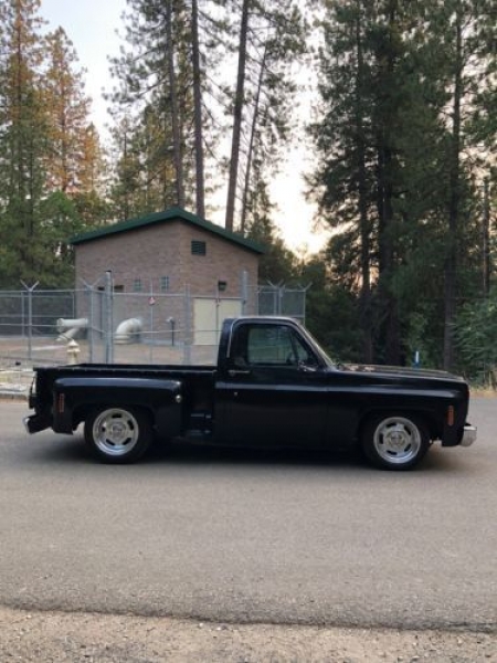 1975 Chevrolet Pickup for sale in Cadillac, Michigan (ID-48513)