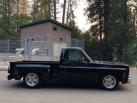 1975 Chevrolet Pickup for sale in Cadillac, Michigan (ID-48513)