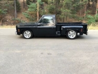 1975 Chevrolet Pickup for sale in Cadillac, Michigan (ID-48513)