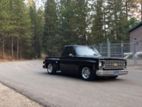 1975 Chevrolet Pickup for sale in Cadillac, Michigan (ID-48513)