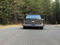 1975 Chevrolet Pickup for sale in Cadillac, Michigan (ID-48513)