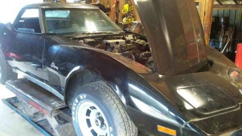1975 Chevrolet Corvette for sale in Cadillac, Michigan (ID-48524)