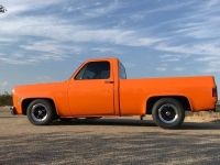 1975 Chevrolet C10 for sale in Cadillac, Michigan (ID-48558)