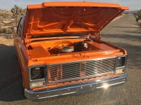 1975 Chevrolet C10 for sale in Cadillac, Michigan (ID-48558)