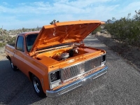 1975 Chevrolet C10 for sale in Cadillac, Michigan (ID-48558)