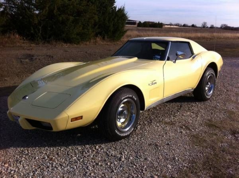 1975 Chevrolet Corvette for sale in Cadillac, Michigan (ID-48793)