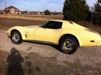 1975 Chevrolet Corvette for sale in Cadillac, Michigan (ID-48793)
