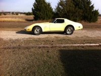 1975 Chevrolet Corvette for sale in Cadillac, Michigan (ID-48793)