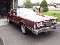 1975 Ford Thunderbird for sale in Cadillac, Michigan (ID-48261)