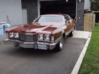 1975 Ford Thunderbird for sale in Cadillac, Michigan (ID-48261)