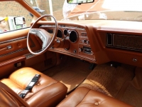 1975 Ford Thunderbird for sale in Cadillac, Michigan (ID-48261)