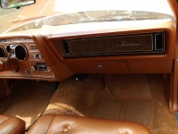 1975 Ford Thunderbird for sale in Cadillac, Michigan (ID-48261)