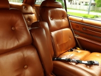 1975 Ford Thunderbird for sale in Cadillac, Michigan (ID-48261)