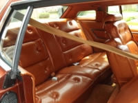 1975 Ford Thunderbird for sale in Cadillac, Michigan (ID-48261)