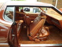 1975 Ford Thunderbird for sale in Cadillac, Michigan (ID-48261)