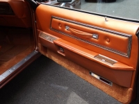 1975 Ford Thunderbird for sale in Cadillac, Michigan (ID-48261)