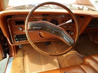 1975 Ford Thunderbird for sale in Cadillac, Michigan (ID-48261)