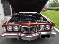 1975 Ford Thunderbird for sale in Cadillac, Michigan (ID-48261)
