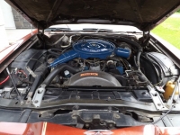 1975 Ford Thunderbird for sale in Cadillac, Michigan (ID-48261)