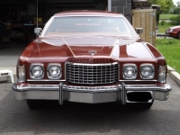 1975 Ford Thunderbird for sale in Cadillac, Michigan (ID-48261)