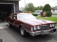 1975 Ford Thunderbird for sale in Cadillac, Michigan (ID-48261)