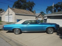 1975 Oldsmobile Delta 88 for sale in Cadillac, Michigan (ID-48824)