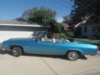 1975 Oldsmobile Delta 88 for sale in Cadillac, Michigan (ID-48824)