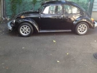 1975 Volkswagen Beetle for sale in Cadillac, Michigan (ID-48062)