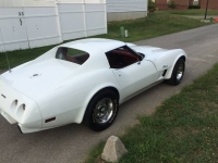 1976 Chevrolet Corvette for sale in Cadillac, Michigan (ID-48217)