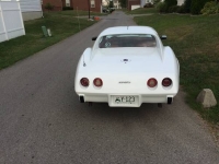 1976 Chevrolet Corvette for sale in Cadillac, Michigan (ID-48217)