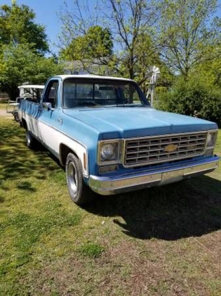 1976 Chevrolet Pickup for sale in Cadillac, Michigan (ID-48403)