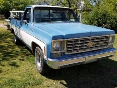 1976 Chevrolet Pickup for sale in Cadillac, Michigan at $10,295