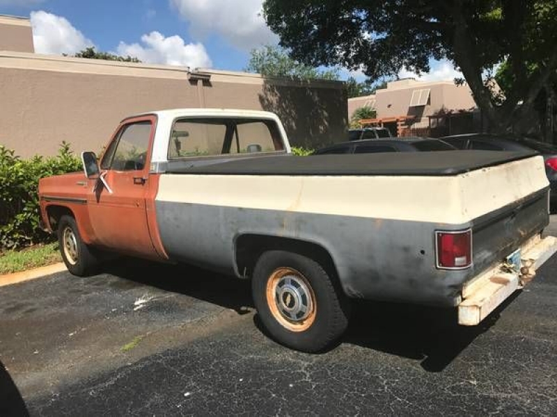 1976 Chevrolet C20 for sale in Cadillac, Michigan (ID-48436)