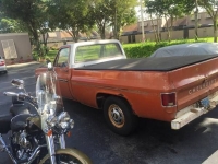 1976 Chevrolet C20 for sale in Cadillac, Michigan (ID-48436)