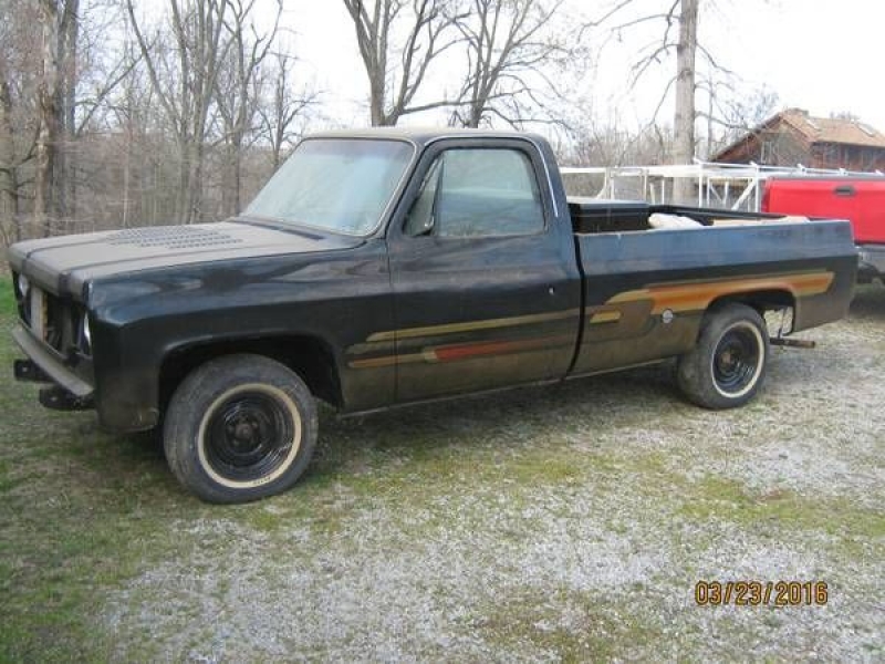 1976 Chevrolet Silverado for sale in Cadillac, Michigan (ID-48553)
