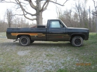 1976 Chevrolet Silverado for sale in Cadillac, Michigan (ID-48553)