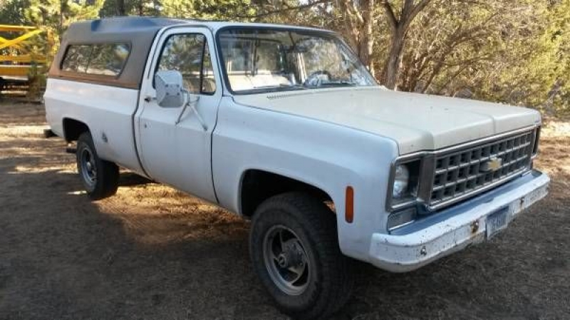 1976 Chevrolet K1500 for sale in Cadillac, Michigan (ID-48646)