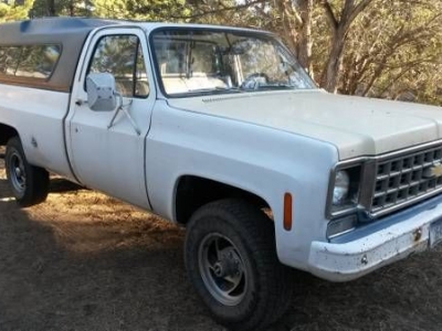 1976 Chevrolet K1500 for sale in Cadillac, Michigan at $11,495
