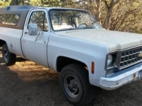 1976 Chevrolet K1500 for sale in Cadillac, Michigan (ID-48646)