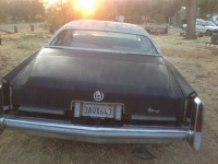 1977 Cadillac Eldorado for sale in Cadillac, Michigan (ID-48537)