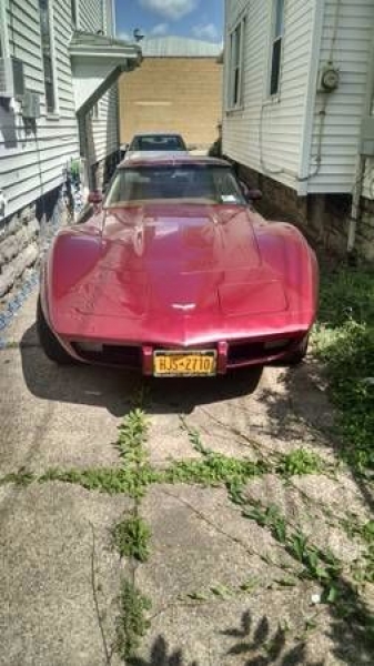 1977 Chevrolet Corvette for sale in Cadillac, Michigan (ID-48133)