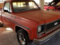 1977 Chevrolet C10 for sale in Cadillac, Michigan (ID-48841)
